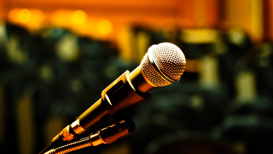 Chanteurs/chanteuses/groupes francophones